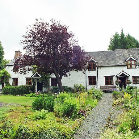 Glencoed B&B Wrexham Buitenkant foto