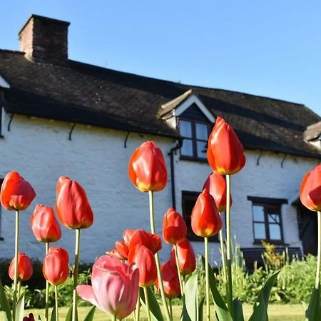 Glencoed B&B Wrexham Buitenkant foto