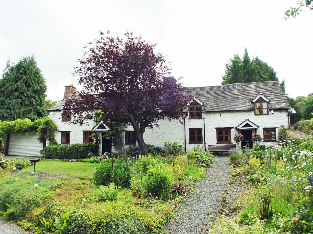 Glencoed B&B Wrexham Buitenkant foto
